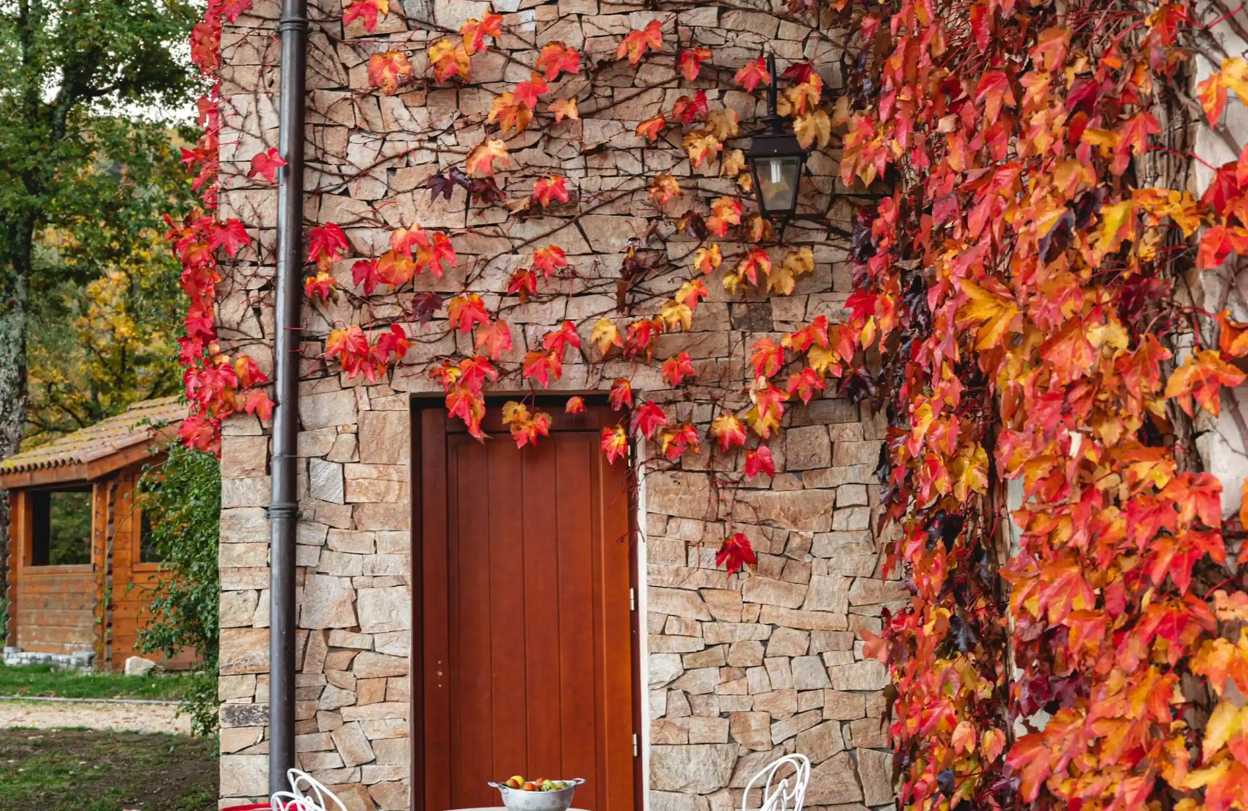 Stone Haven Developments A stone building with a wooden door is covered in red and orange autumn vines, with a small table and chairs in front. Ontario
