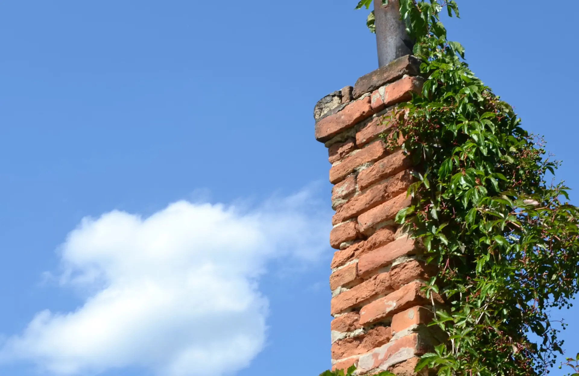 Stone Haven Developments A brick chimney with green vines climbing up the side stands against a clear blue sky with a few white clouds. Ontario